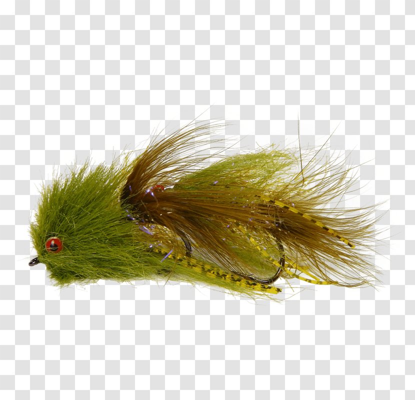 Fly Fishing Streamer Woolly Bugger Muddler Minnow - Grass - Flies Transparent PNG