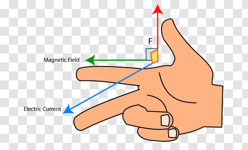 Fleming's Right-hand Rule Magnetic Field Left-hand For Motors - Tree - Article Curve Transparent PNG