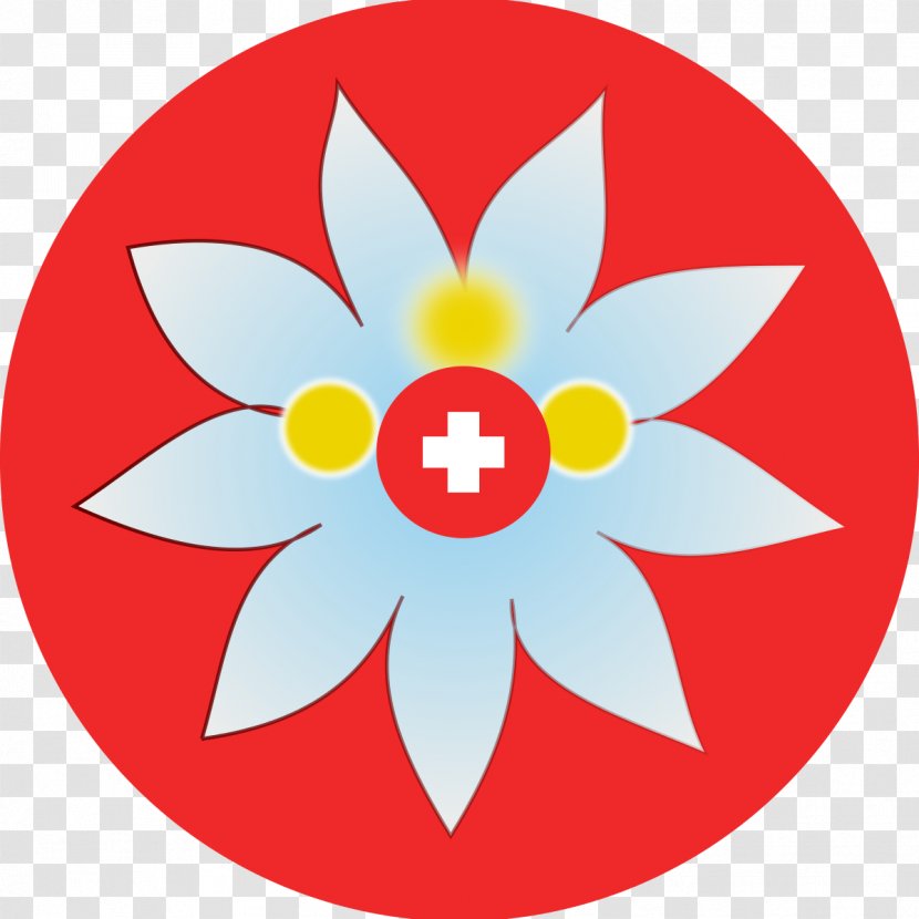 Switzerland Edelweiss Clip Art - Area - Flower Tattoo Transparent PNG
