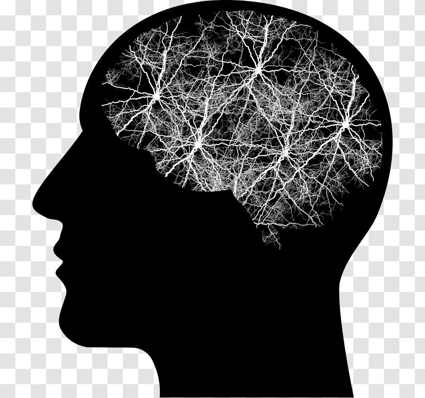 Human Head Brain Body - Silhouette Transparent PNG