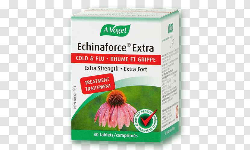 Echinaforce Common Cold Dietary Supplement Tablet Purple Coneflower - Respiratory Disease - Store Menu Transparent PNG