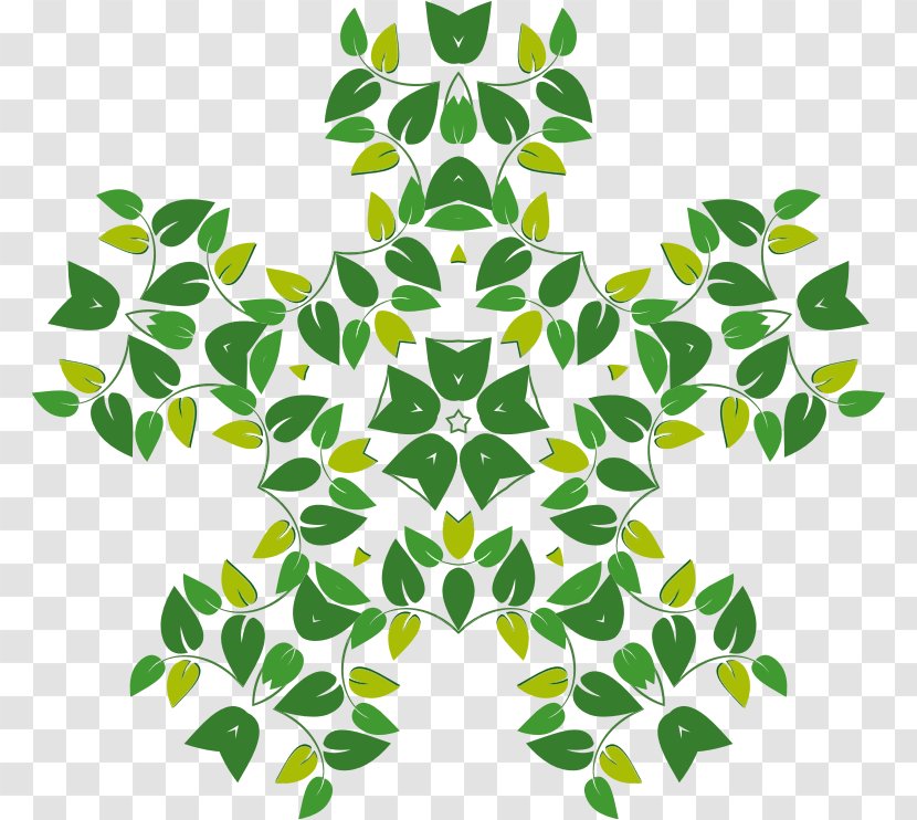 Leaf Clip Art - Grass - Tree Timeline Transparent PNG