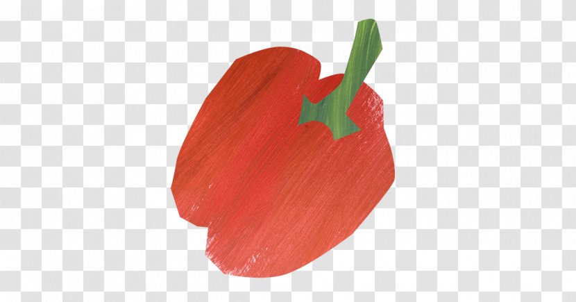 Chili Pepper Petal Tulip Fruit Transparent PNG