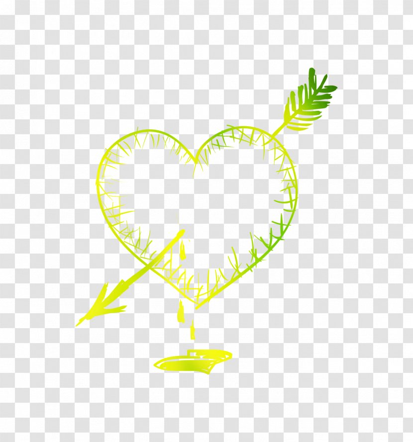 Illustration Clip Art Heart Fruit Flower - Symbol Transparent PNG