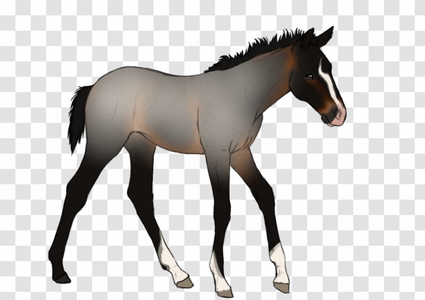 Mane Mustang Foal Stallion Colt - Livestock Transparent PNG