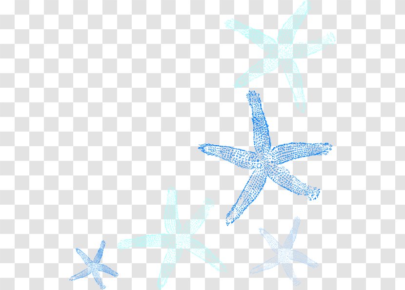 Starfish Clip Art - Organism - Star Ocean Transparent PNG