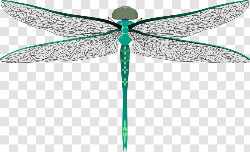 Insect Dragonfly Drawing Mosquito Clip Art - Leaf Transparent PNG