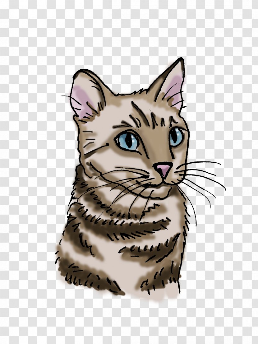 Toyger Bengal Cat Whiskers Tabby Domestic Short-haired - Kitten Transparent PNG
