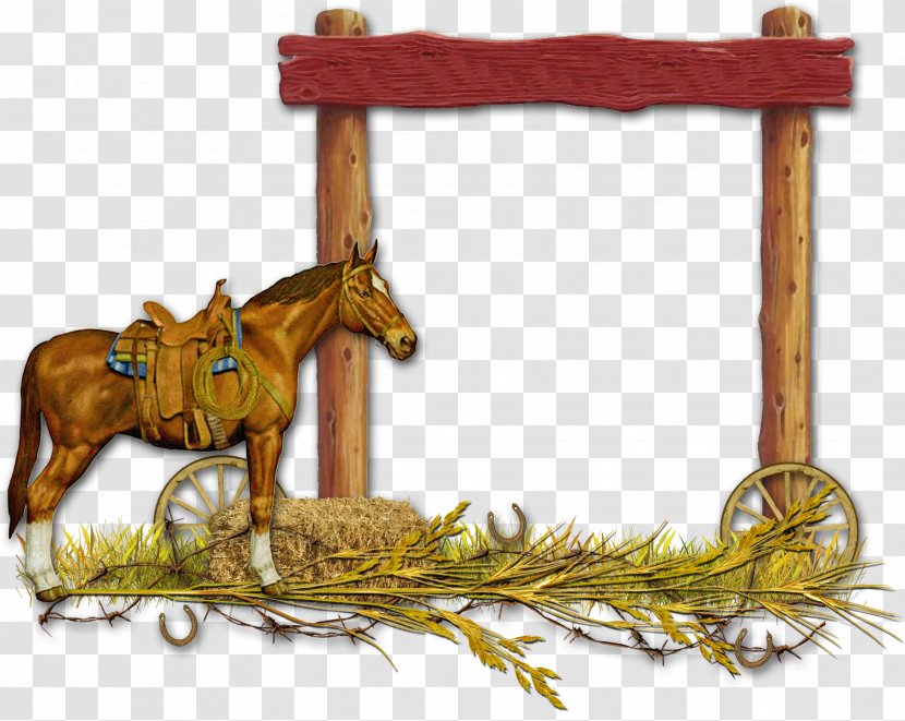 Horse Cowboy Blog Picture Frames - Depositfiles Transparent PNG