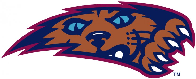 Arizona Wildcats Mens Basketball Villanova University Logo - National Collegiate Athletic Association - Wildcat Transparent PNG