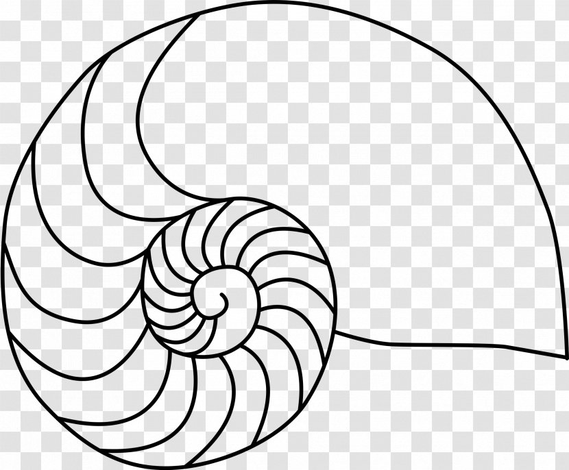 Snail Cartoon - Drawing - Ear Blackandwhite Transparent PNG