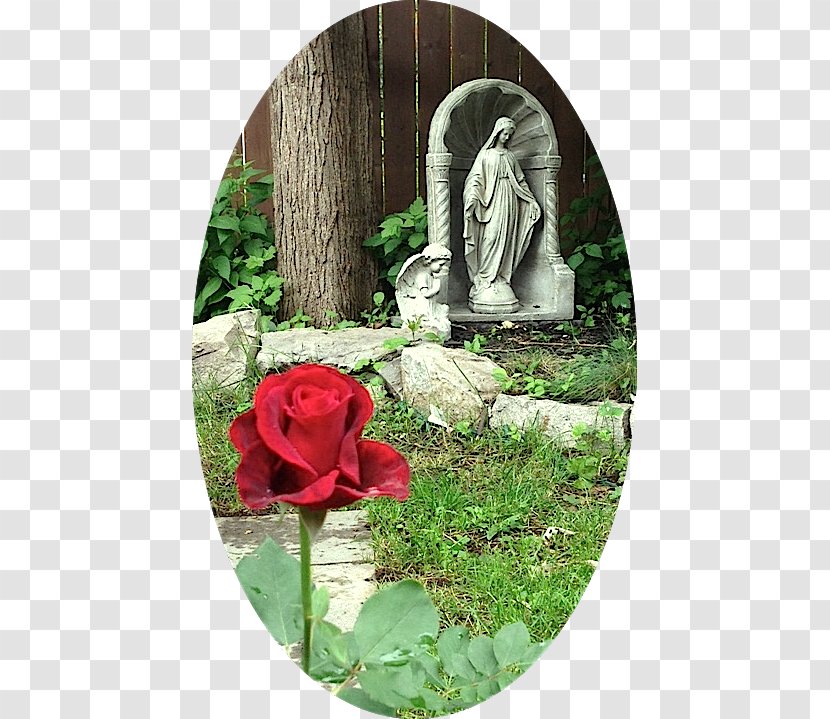 Garden Roses Ave Maria Prayer Mary - Flower - Virgin Transparent PNG