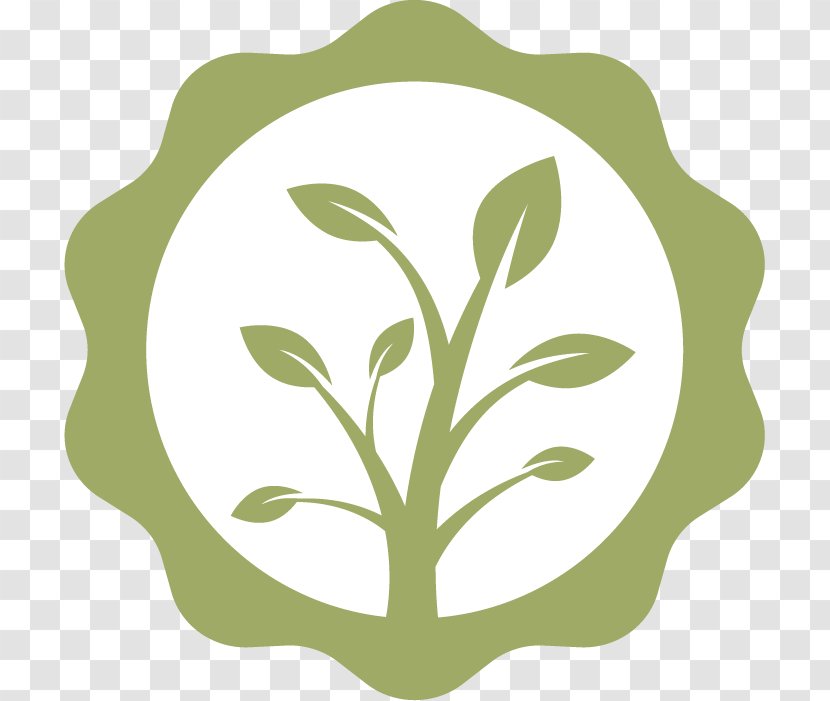 Clip Art Plant Stem Leaf Product Design Flower - Green Transparent PNG