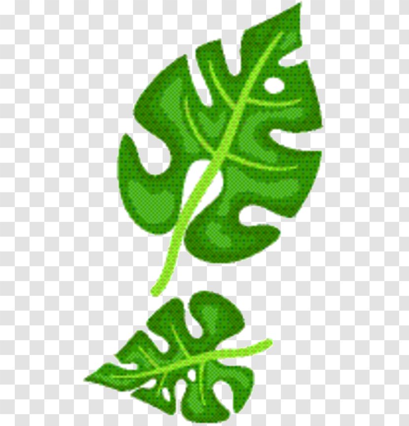 Green Leaf Background - Symbol - Botany Transparent PNG