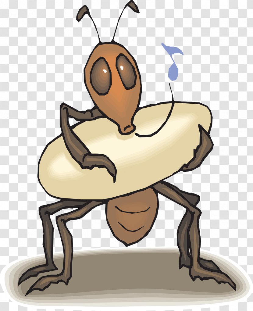 Anteater Queen Ant Clip Art - Hard Brown Ants Transparent PNG