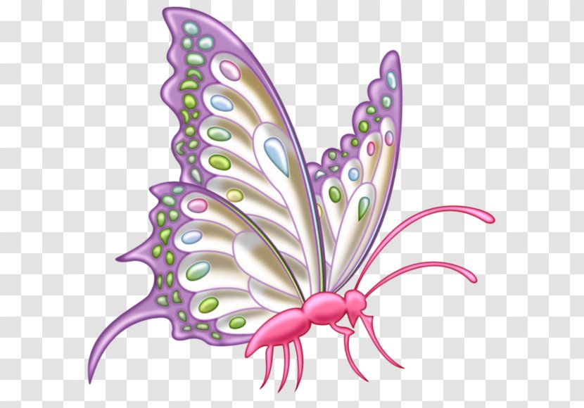 Butterfly Clip Art - Animation - A Transparent PNG