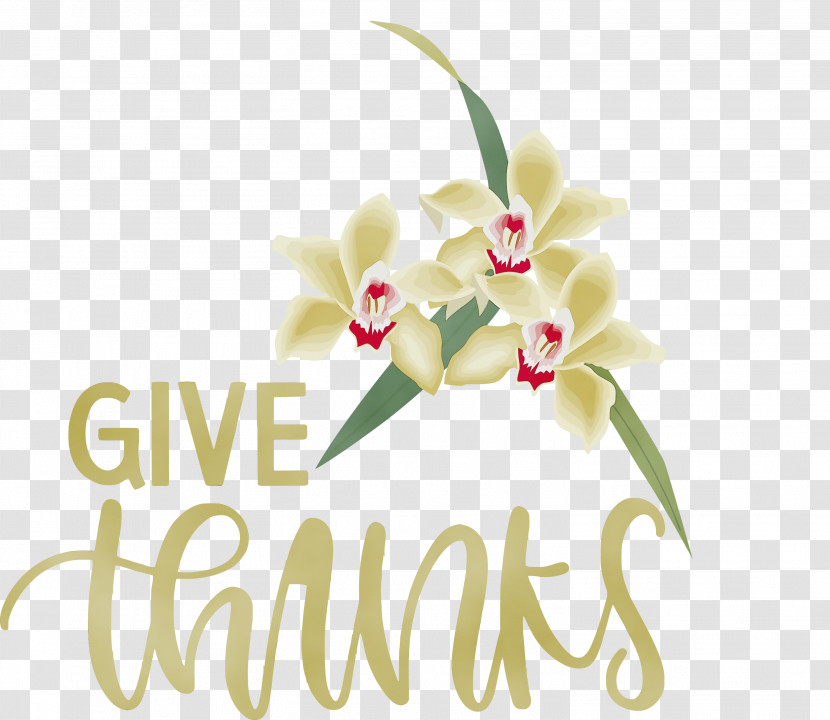 Floral Design Transparent PNG