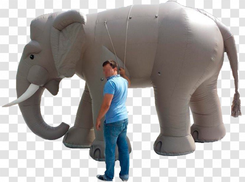 Indian Elephant African Inflatable Giraffe - Ca Transparent PNG