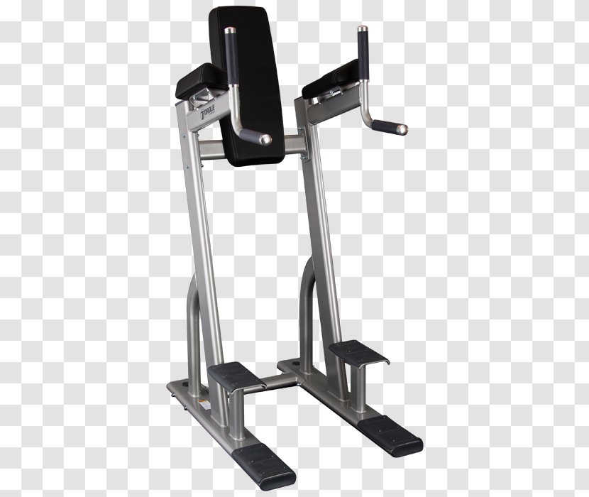 Exercise Equipment Weightlifting Machine Power Tower Manufacturing - Olympic - Aesthetic Paint Transparent PNG