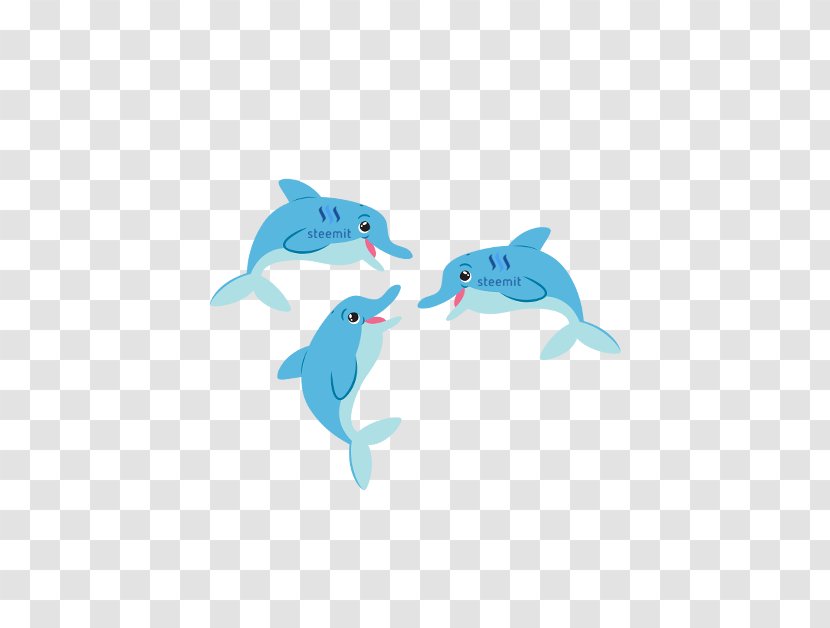 Common Bottlenose Dolphin Steemit Whales Marine Biology - Fish Transparent PNG