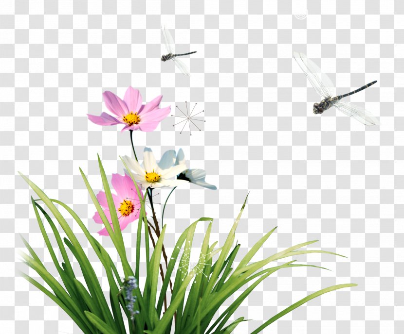 Floral Design Flower Icon - Plant - Dragonfly With Flowers Transparent PNG