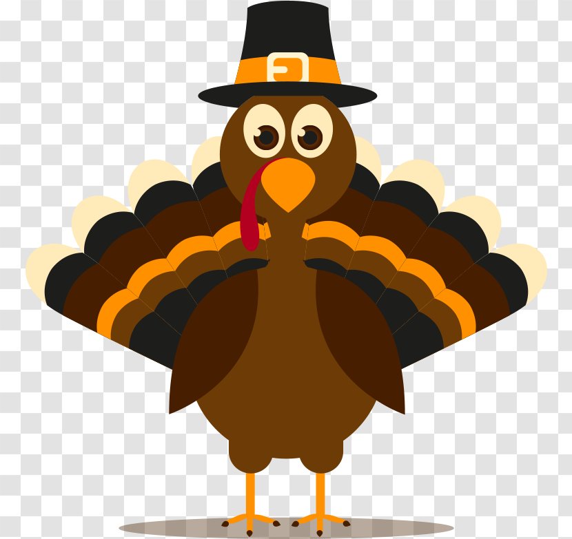 Turkey Thanksgiving Cartoon - Headgear Beak Transparent PNG