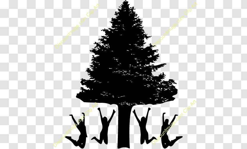 Christmas Tree Spruce Fir Ornament Day Transparent PNG