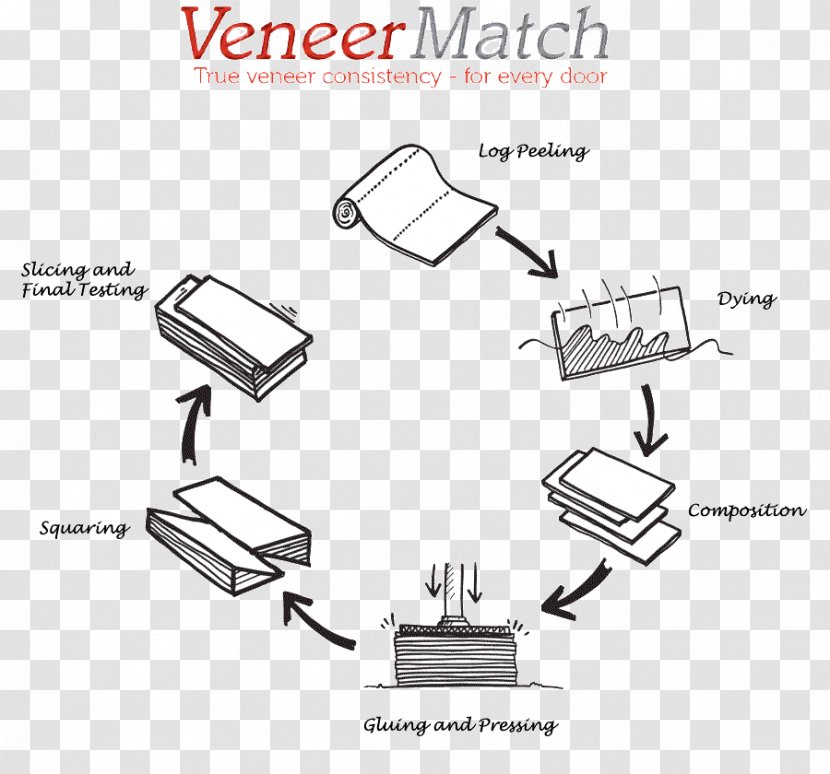 Wood Veneer Technology Furniture - Technical Standard Transparent PNG