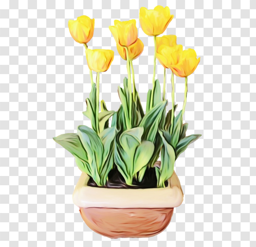 Flower Tulip Plant Flowerpot Yellow Transparent PNG