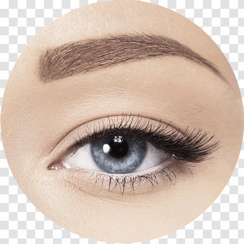 Eyebrow Eye Liner Photography - Stock Transparent PNG