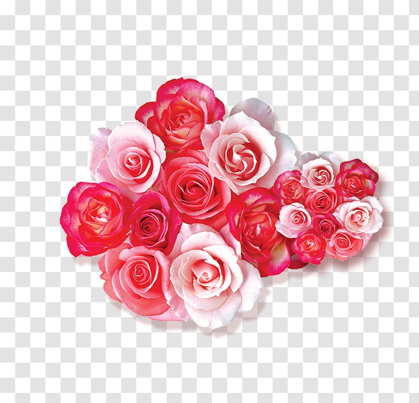 Garden Roses Beach Rose Flower - Family - A Bouquet Of Blooming Flowers Transparent PNG