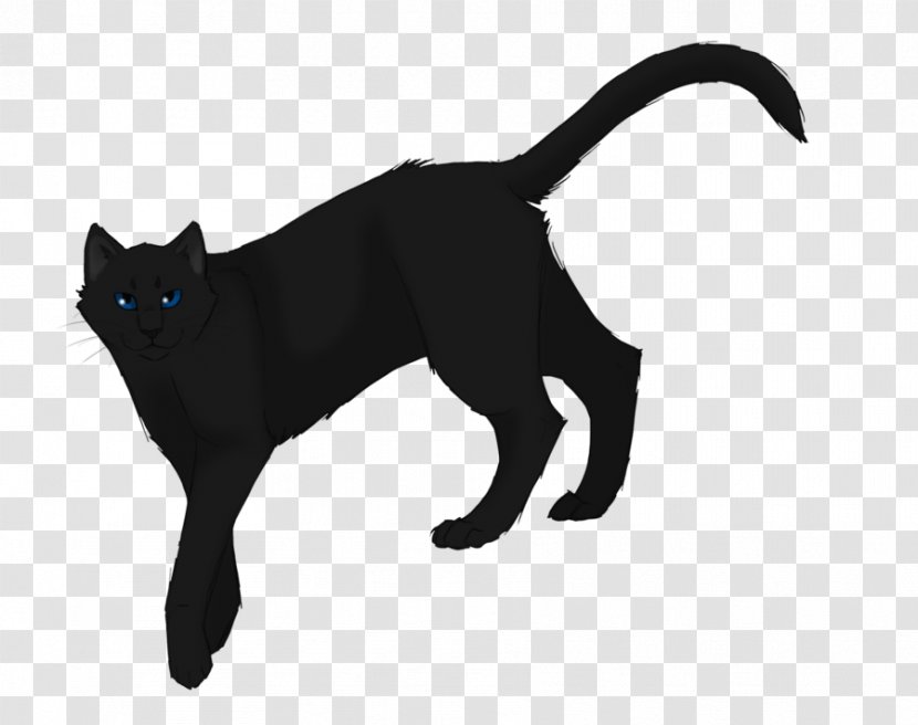 The Last Hope Cat Warriors Reedwhisker Erin Hunter - Silverstream - Nose Transparent PNG