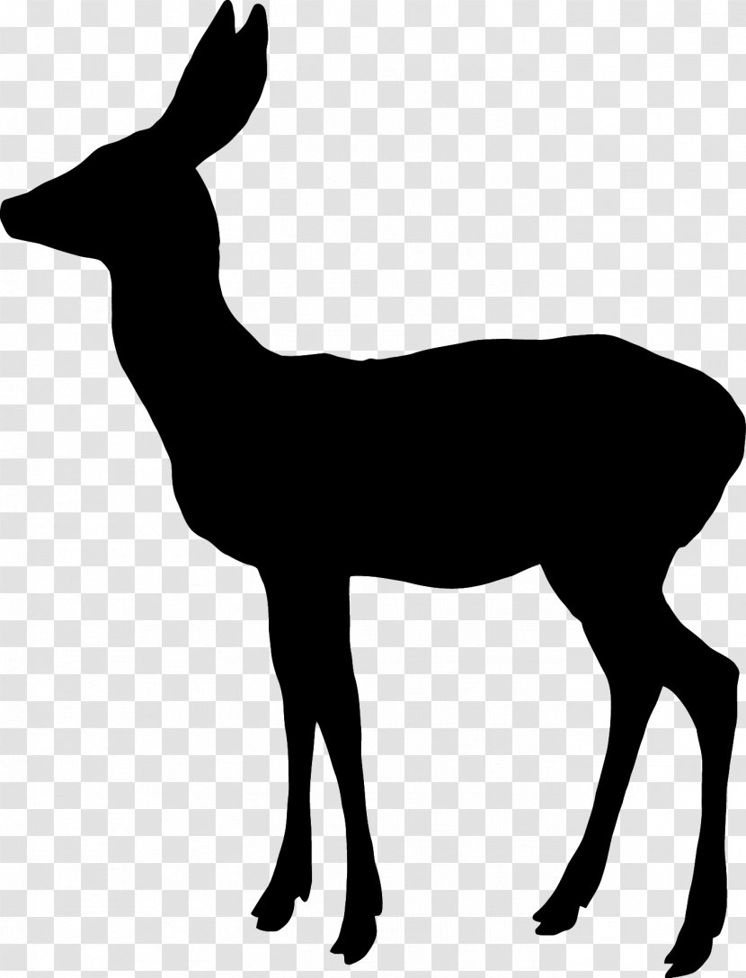 White-tailed Deer Reindeer Elk Moose - Royaltyfree - Fairy Silhouette Transparent PNG