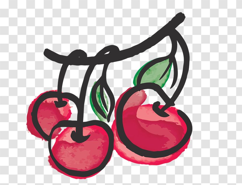 Tart Cherry Fruit Apple Orchard - Flower - Top Transparent PNG