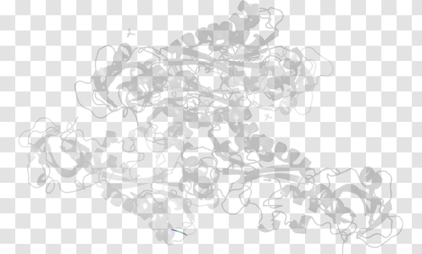 Sketch Product Design Line Art Pattern - Tree - Nicotiana Tabacum Transparent PNG