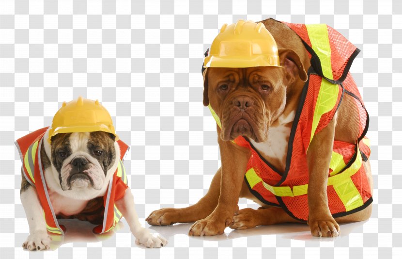 Bulldog Safety Stock Photography Royalty-free - Architectural Engineering - Fire Dog Transparent PNG