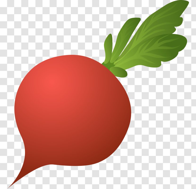 Daikon Beetroot Food Clip Art - Turnip - Vegetable Transparent PNG