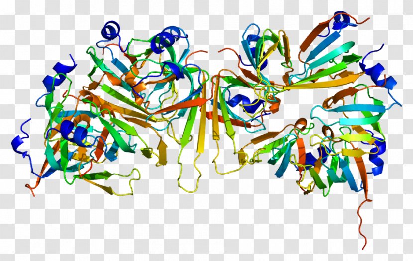 Small Nuclear RNA Housekeeping Gene Ribonucleoprotein SnRNP - Cell Nucleus Transparent PNG