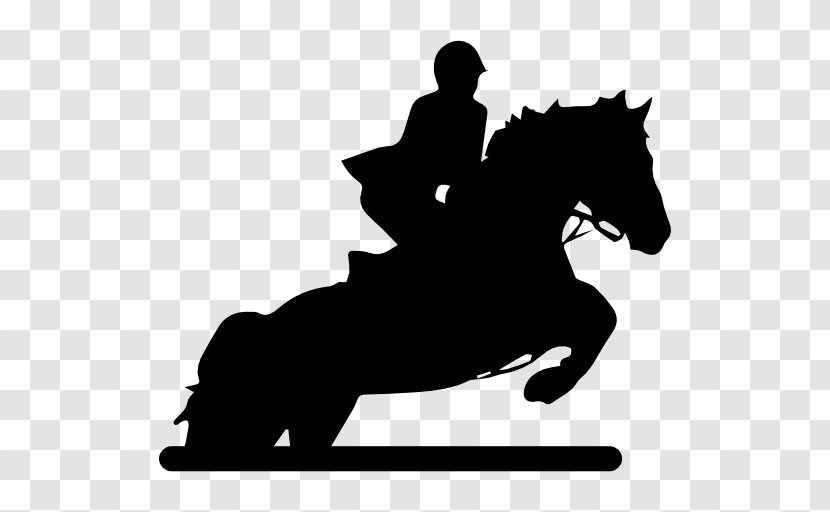 American Quarter Horse Equestrian Racing Jockey - Western Riding - Horserider Transparent PNG