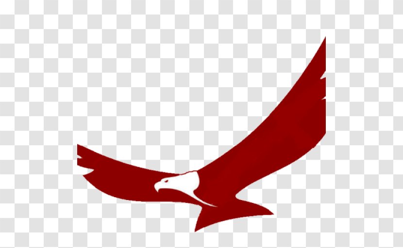 Bald Eagle Clip Art - Logo Transparent PNG