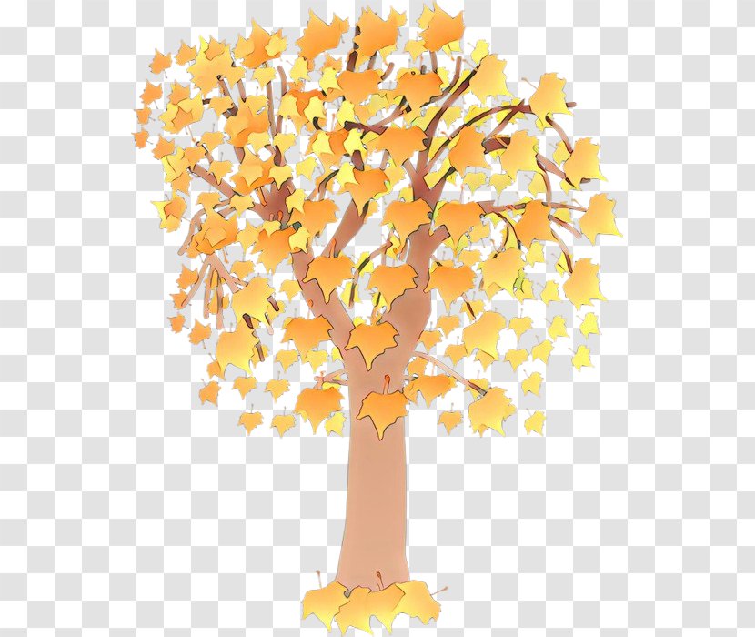 Tree Yellow Woody Plant Leaf - Deciduous Autumn Transparent PNG