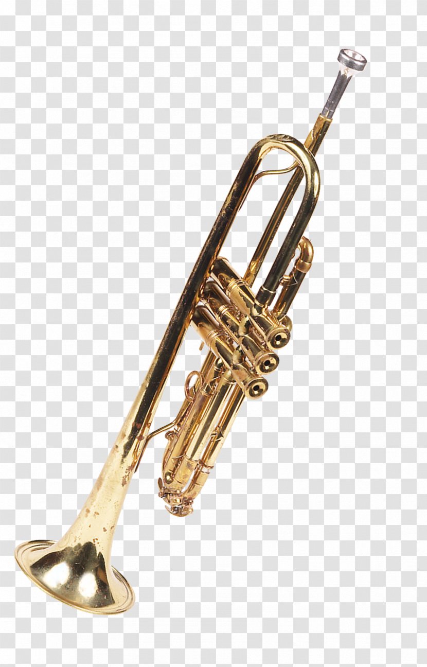 Trumpet Musical Instrument Brass Trombone Tuba - Flower - Metal Instruments Transparent PNG