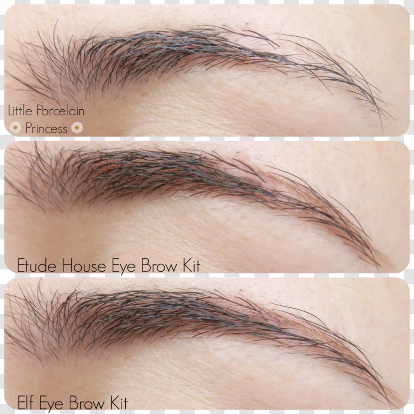 Eyebrow Cosmetics Eye Shadow Eyelash - Mascara - Brow Transparent PNG