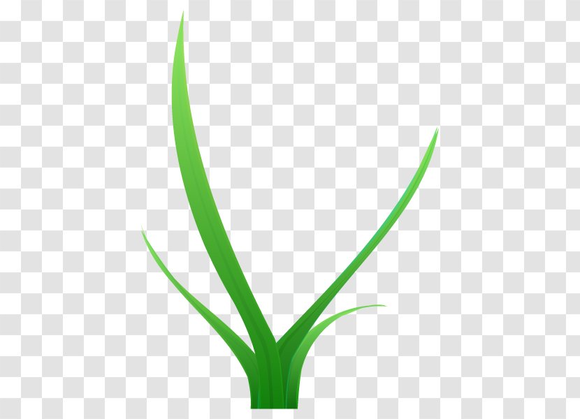 Grasses Plant Stem Flower Leaf Line - Green Transparent PNG
