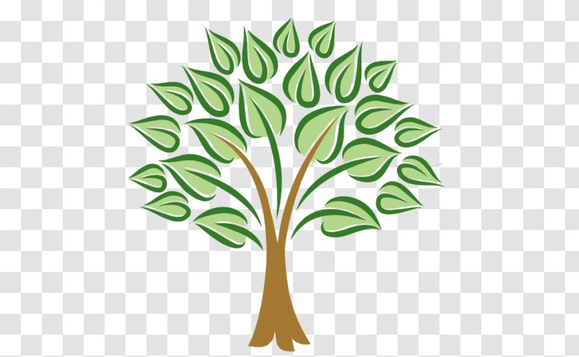 Ecovillage Community Health Care LinkedIn - Plant Stem - Tree Logo Transparent PNG