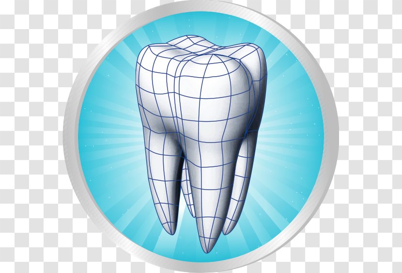 Human Tooth Dentistry Scientific Modelling Periodontium - Heart - Smile Transparent PNG