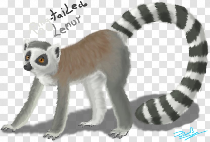 Lemurs Cat Monkey Terrestrial Animal Tail - Mammal - Ring Tailed Lemur Transparent PNG