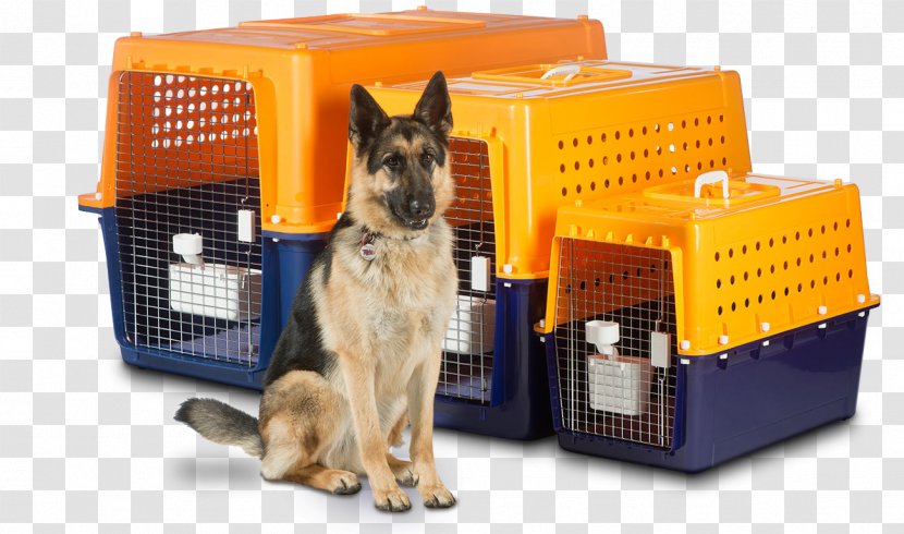 Dog Crate Pet Travel Transport - Abroad Transparent PNG