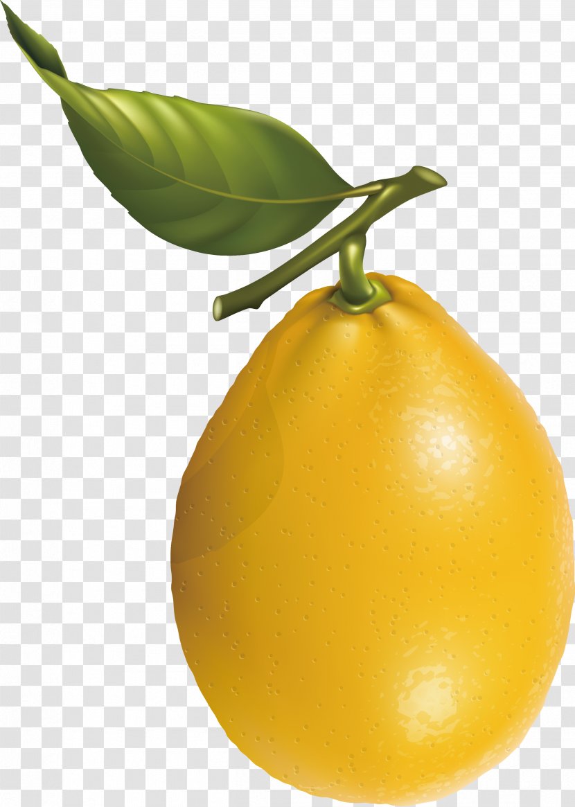 Lemon Mandarin Orange Fruit Clip Art - Pear Vector Transparent PNG
