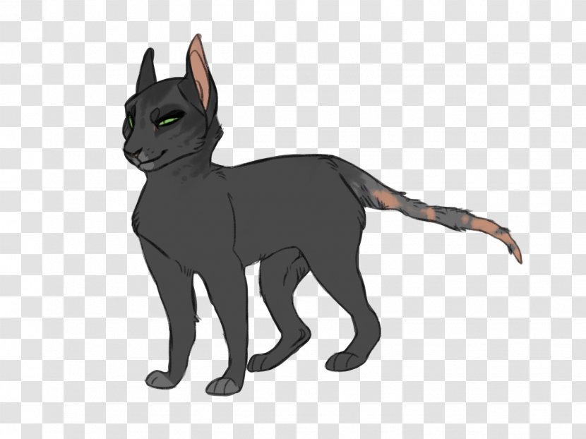 Black Cat Whiskers Dog Breed - Like Mammal Transparent PNG